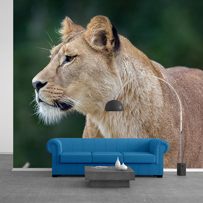 Lion Jungle Animal Mural Decal Contemporary Wall Decor for Bedroom, Stain-Resistant