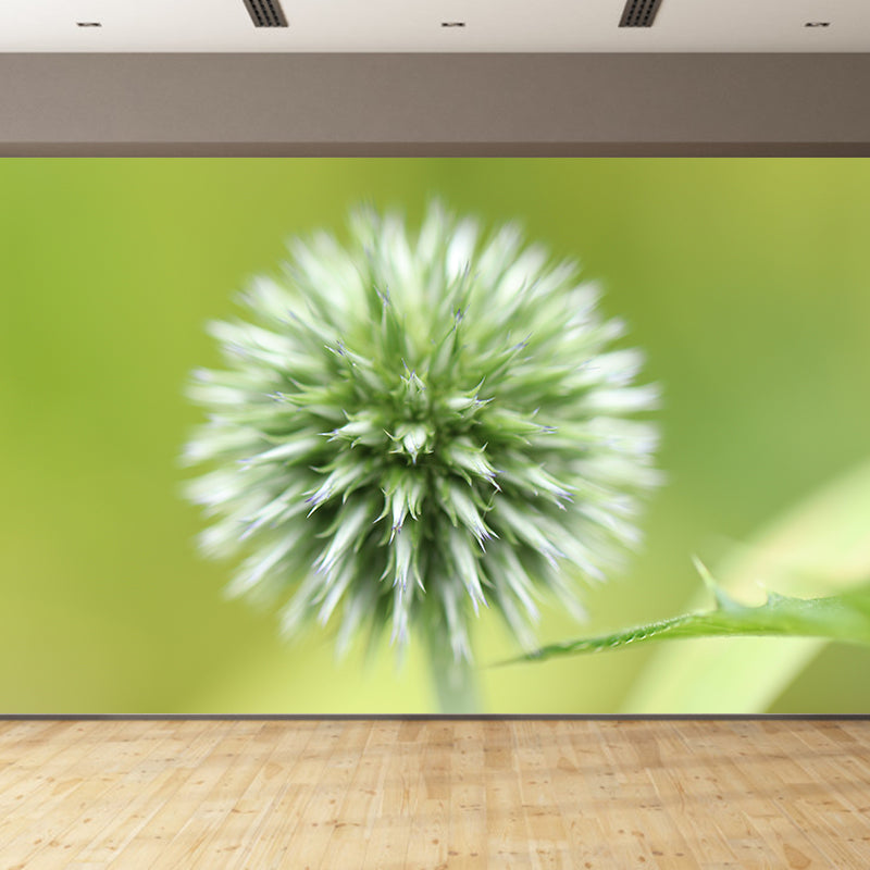 Globe Thistle Full Size Wall Covering for Living Room Plant Mural, Moisture-Resistant