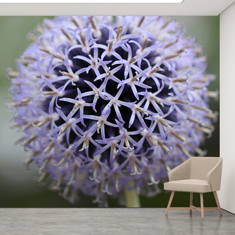 Globe Thistle Full Size Wall Covering for Living Room Plant Mural, Moisture-Resistant