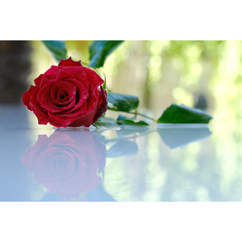 Beautiful Rose Flower Wall Decals Removable Mural Wallpaper, Waterproofing