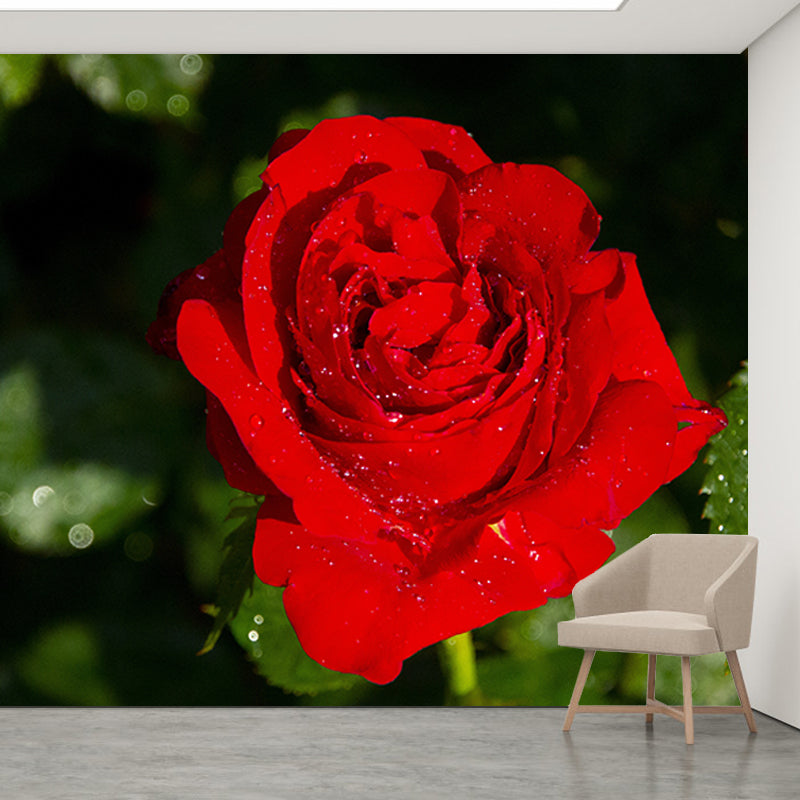 Beautiful Rose Flower Wall Decals Removable Mural Wallpaper, Waterproofing