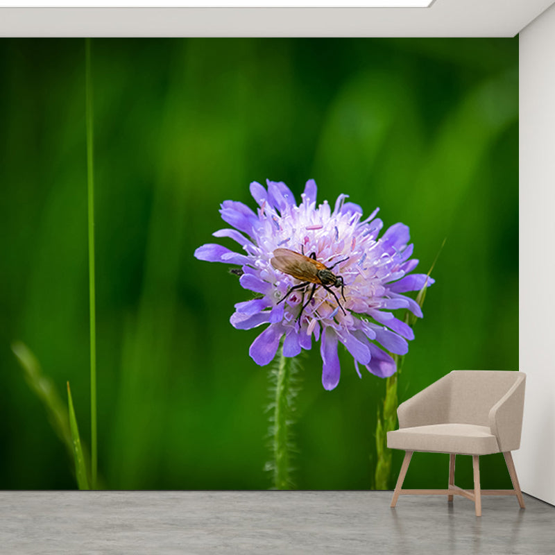 Flower Blossom Mural Wallpaper Modern Wall Covering for Sitting Room, Made to Measure