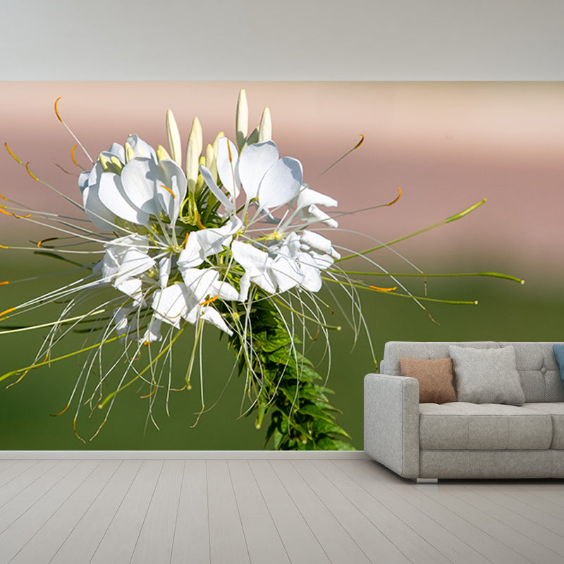 Flower Blossom Mural Wallpaper Modern Wall Covering for Sitting Room, Made to Measure