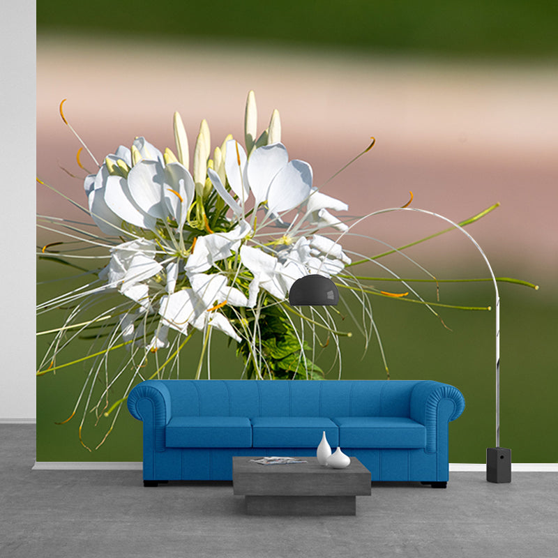 Flower Blossom Mural Wallpaper Modern Wall Covering for Sitting Room, Made to Measure