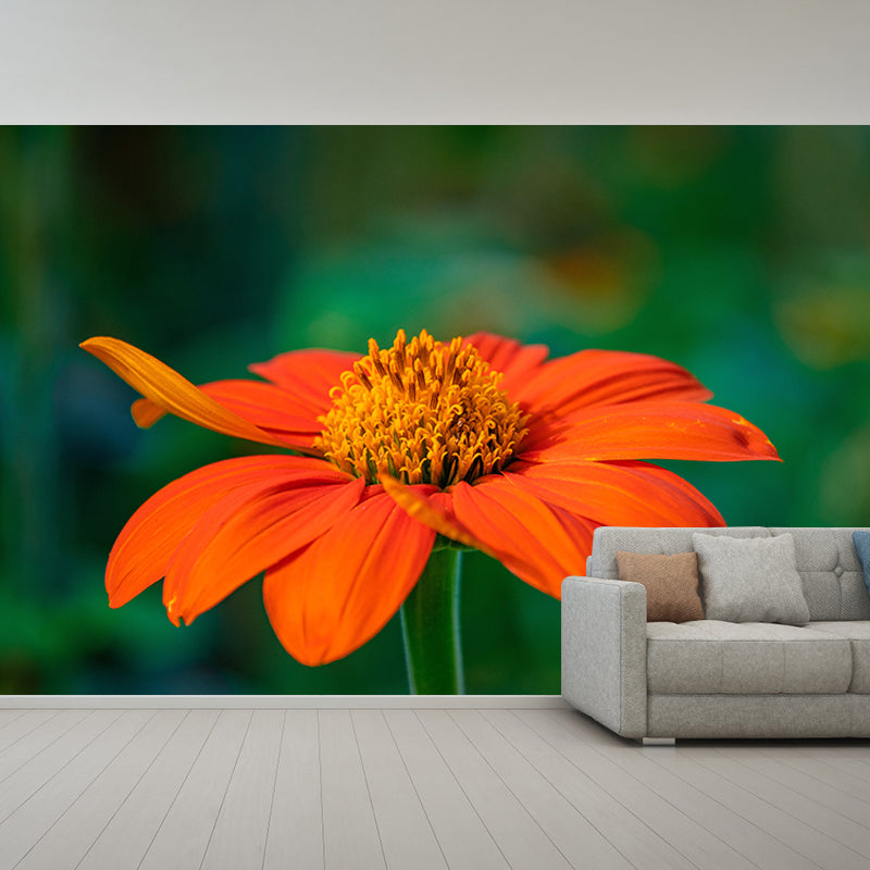 Bunte Blumen-Wandtapete, wasserabweisende Wanddekoration für Besprechungsräume