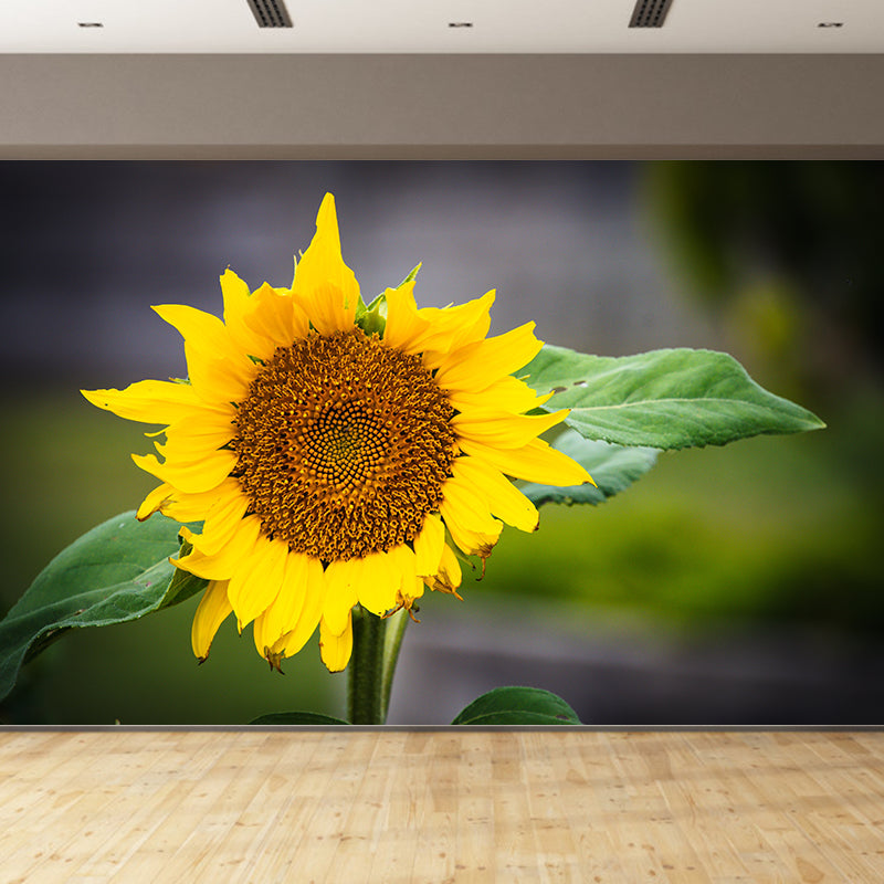 Bunte Blumen-Wandtapete, wasserabweisende Wanddekoration für Besprechungsräume