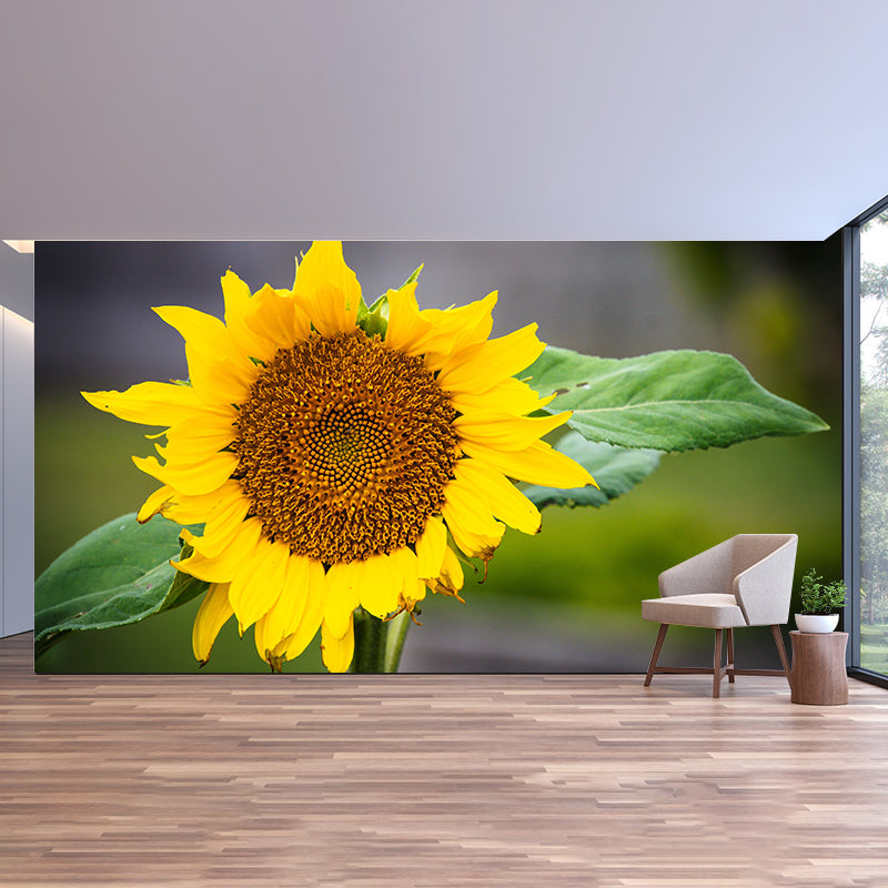 Bunte Blumen-Wandtapete, wasserabweisende Wanddekoration für Besprechungsräume