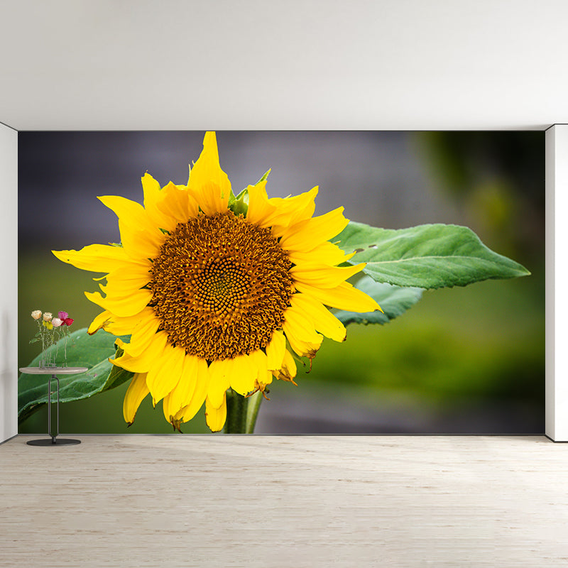 Bunte Blumen-Wandtapete, wasserabweisende Wanddekoration für Besprechungsräume