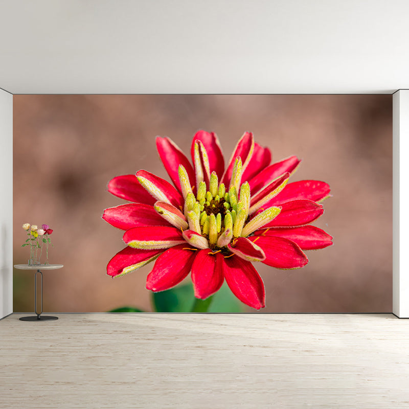 Bunte Blumen-Wandtapete, wasserabweisende Wanddekoration für Besprechungsräume