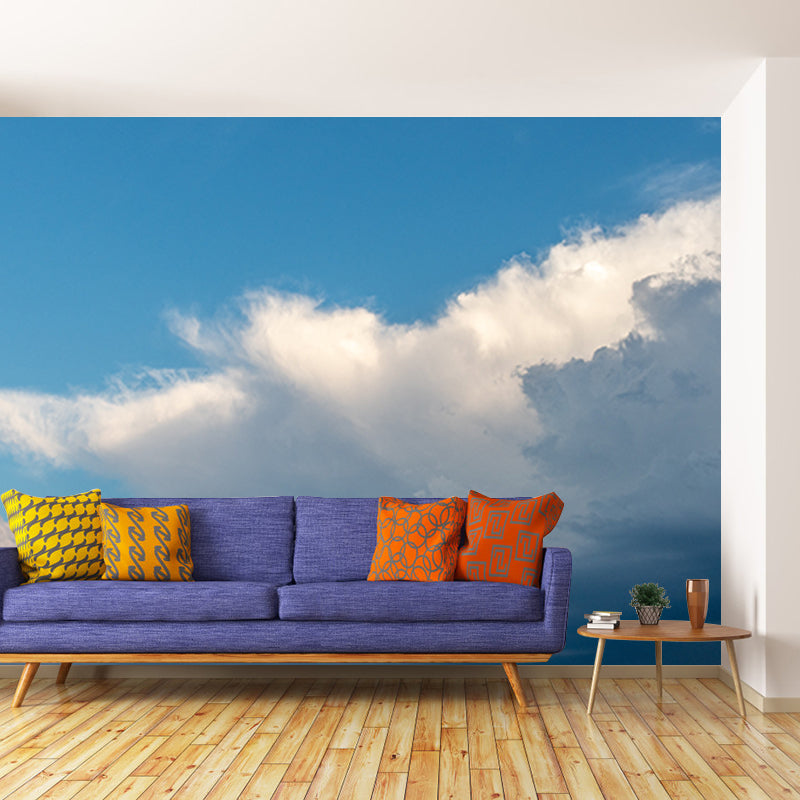 Beautiful Cloud Murals Modern Wall Decoration in Blue and White, Custom Made