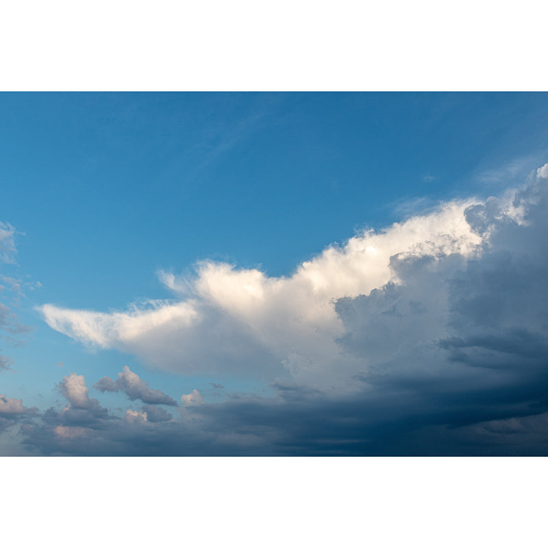 Beautiful Cloud Murals Modern Wall Decoration in Blue and White, Custom Made