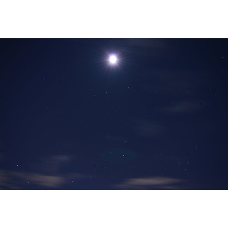 Outer Space Photo Wall Mural Stain Resistant Gust Room Wall Decor, Custom Print