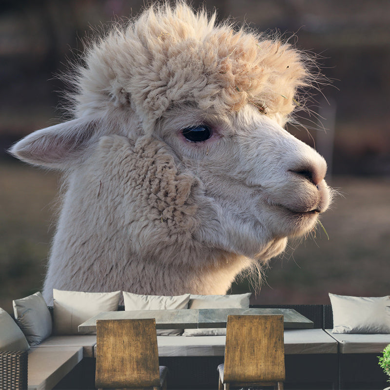 Alpaca Portrait Mural Wallpaper Contemporary Style Wall Covering for Living Room