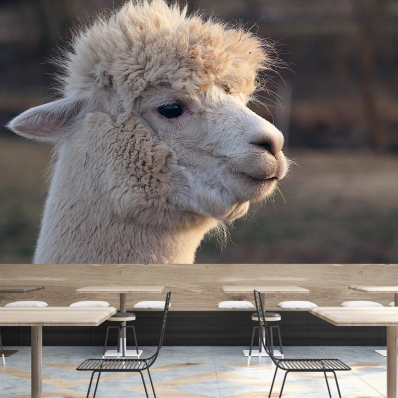 Alpaca Portrait Mural Wallpaper Contemporary Style Wall Covering for Living Room