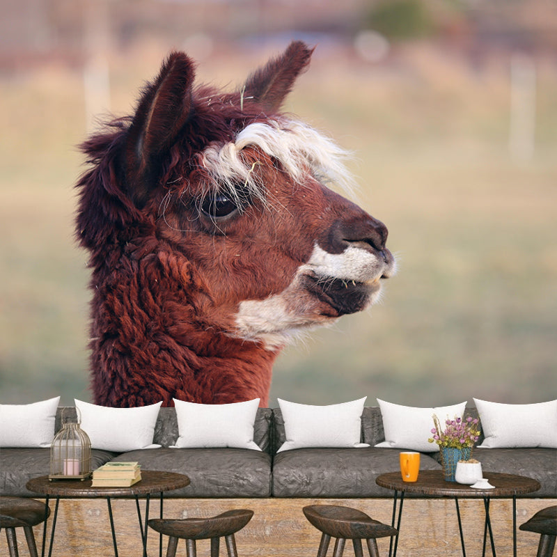 Alpaca Portrait Mural Wallpaper Contemporary Style Wall Covering for Living Room