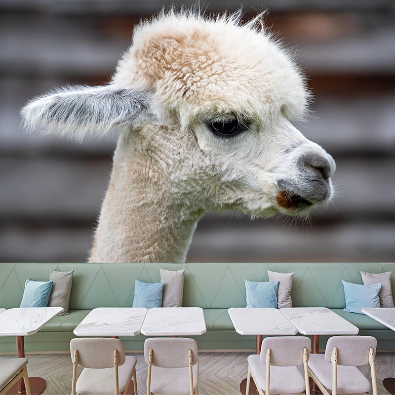 Alpaca Portrait Mural Wallpaper Contemporary Style Wall Covering for Living Room