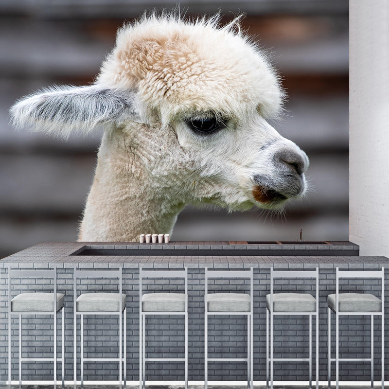 Alpaca Portrait Mural Wallpaper Contemporary Style Wall Covering for Living Room