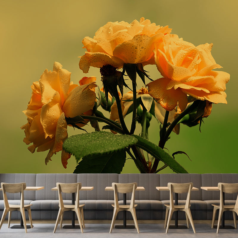 Beautiful Roses Wall Covering for Living Room Contemporary Moisture-Resistant Mural