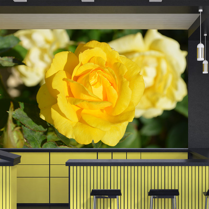 Photography Style Rose Blossom Mural Wallpaper Modern Wall Covering for Living Room