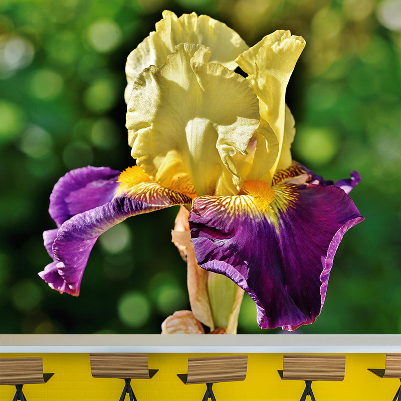 Customized Iris-Flower Mural Wallpaper Modern Wall Covering for Accent Wall