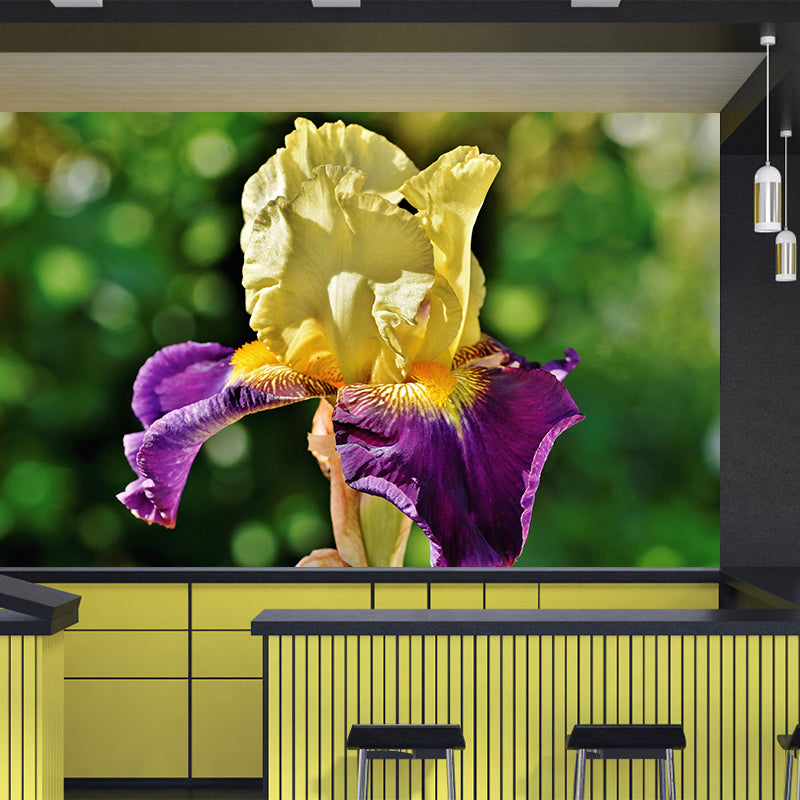 Customized Iris-Flower Mural Wallpaper Modern Wall Covering for Accent Wall