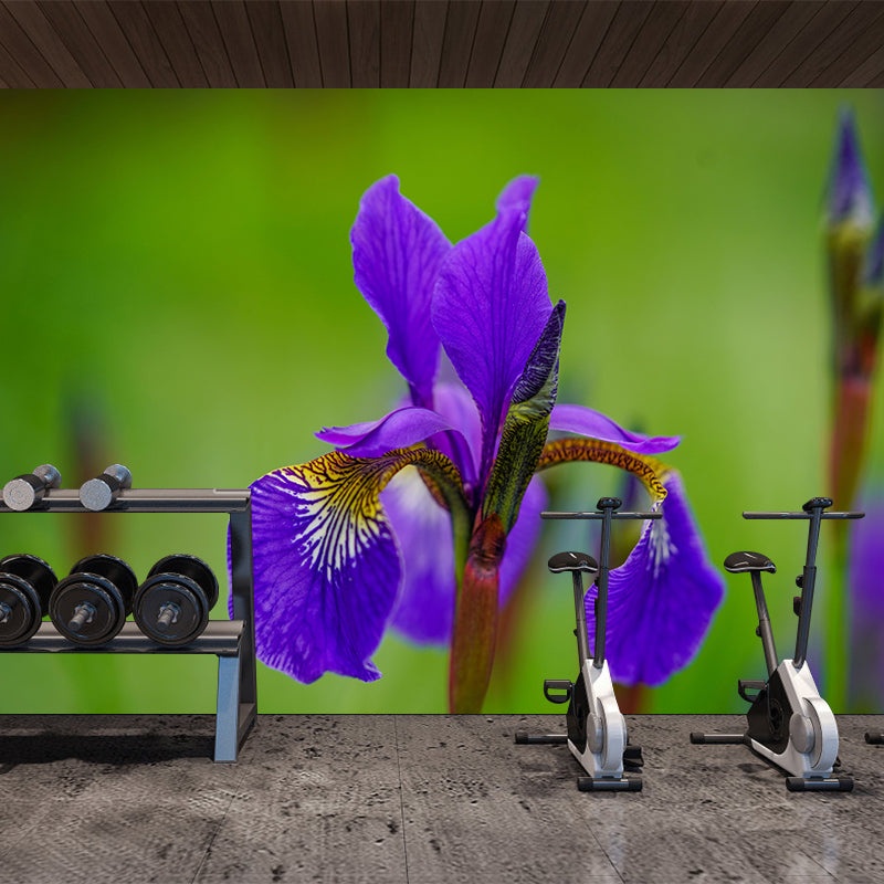 Customized Iris-Flower Mural Wallpaper Modern Wall Covering for Accent Wall