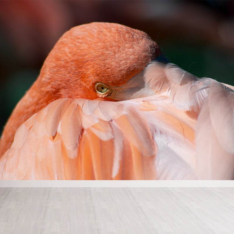 Tropical Flamingo Wall Mural Customized Waterproofing Wall Covering for Living Room