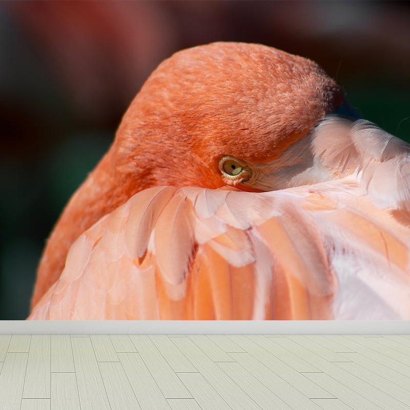 Tropical Flamingo Wall Mural Customized Waterproofing Wall Covering for Living Room