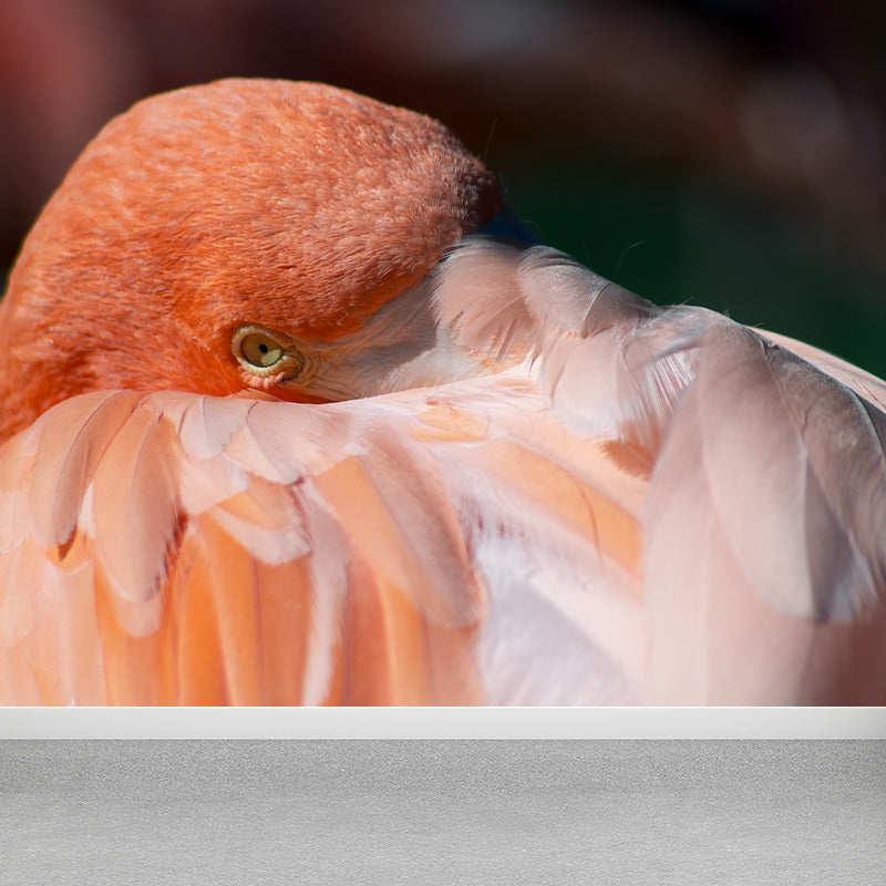 Tropical Flamingo Wall Mural Customized Waterproofing Wall Covering for Living Room