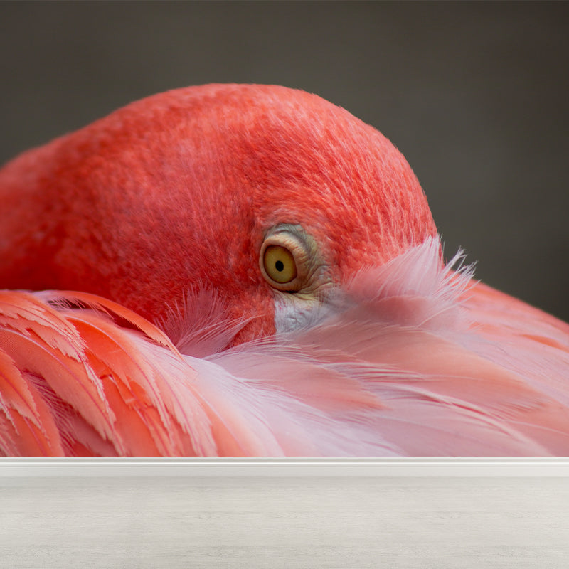 Tropical Flamingo Wall Mural Customized Waterproofing Wall Covering for Living Room