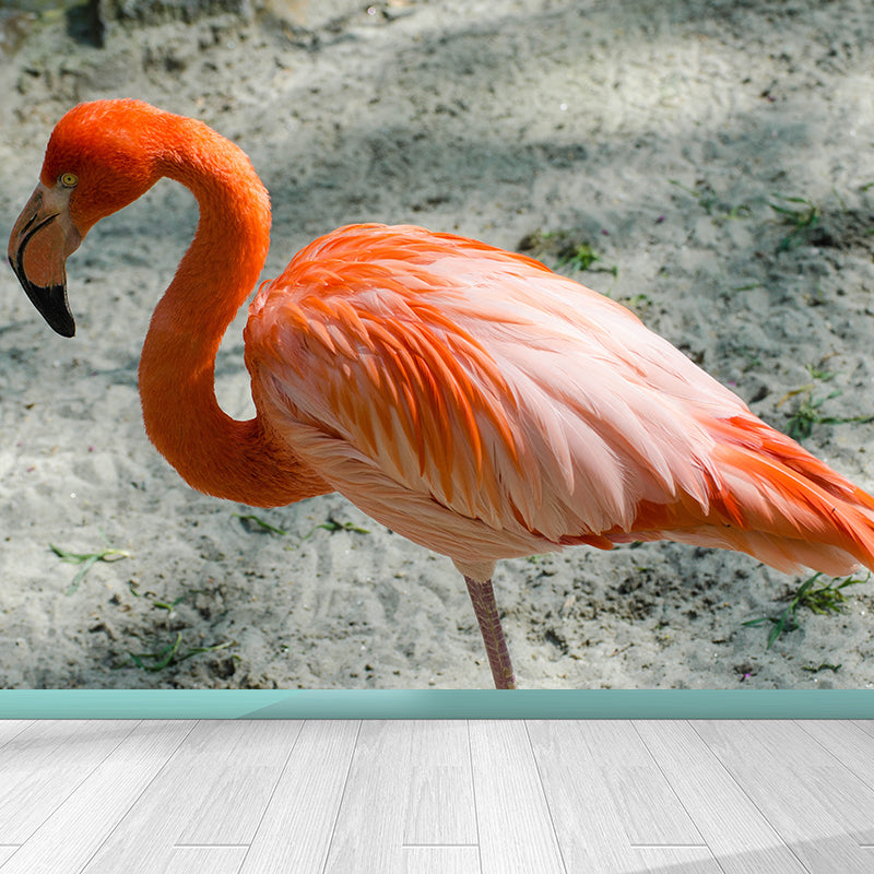 Tropical Flamingo Wall Mural Customized Waterproofing Wall Covering for Living Room