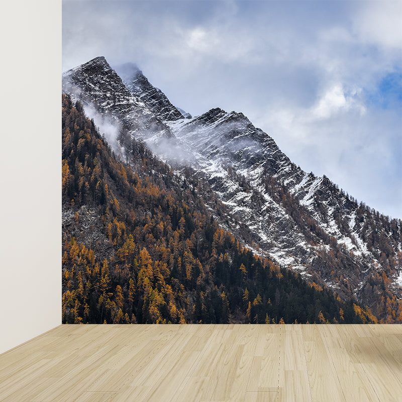 Mountain Landscape Wallpaper Mural Water Resistant Modern Living Room Wall Art