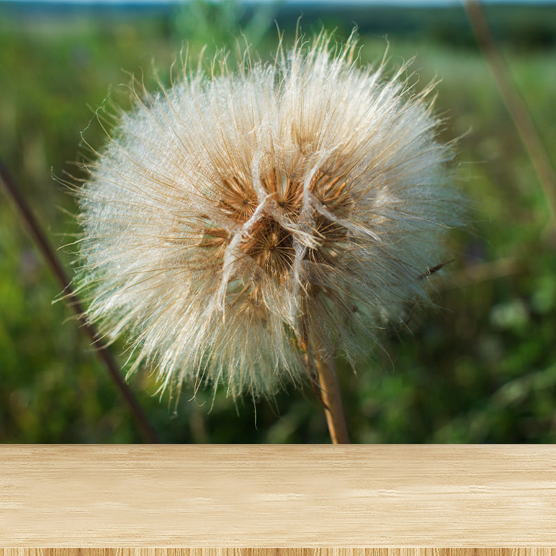 Modernism White Plant Mural Wallpaper Water Resistant, Made to Measure