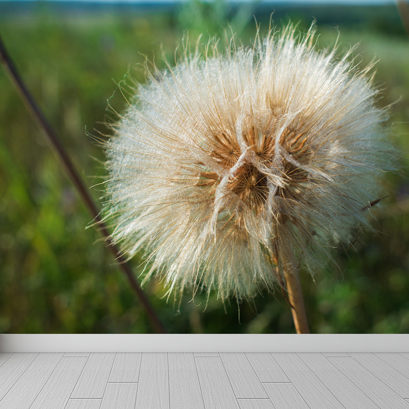 Modernism White Plant Mural Wallpaper Water Resistant, Made to Measure