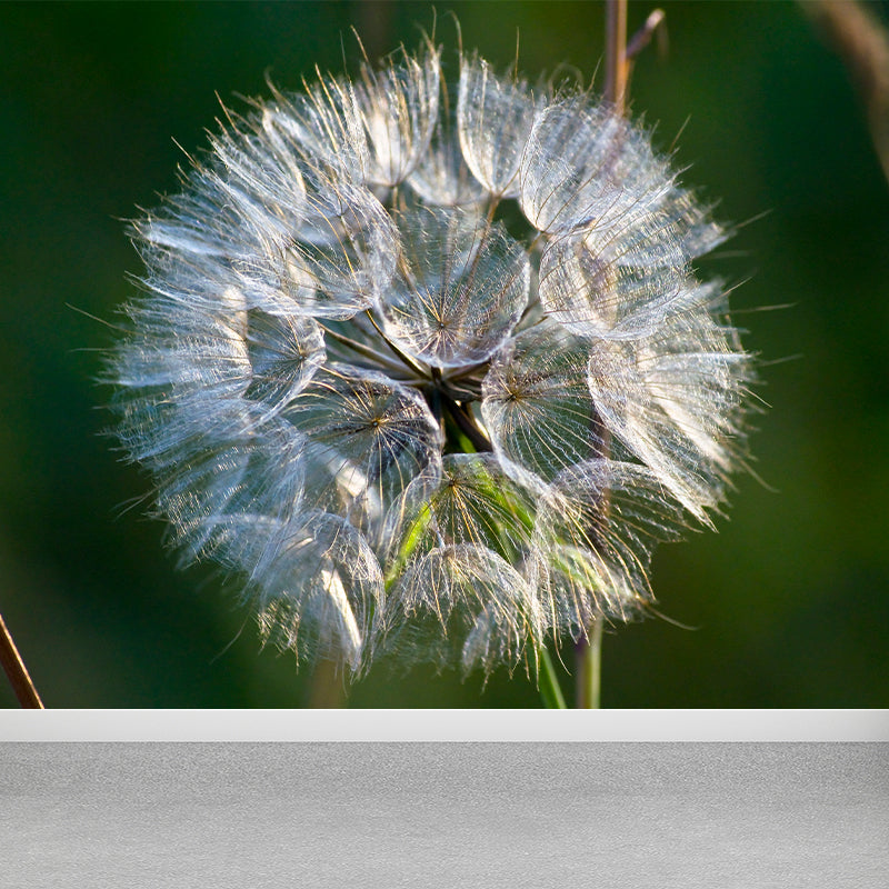 White Plant Modernist Wall Mural Decal Stain Resistant, Made to Measure