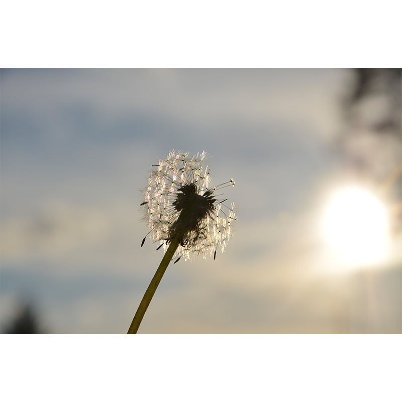 White Plant Modernist Wall Mural Decal Stain Resistant, Made to Measure