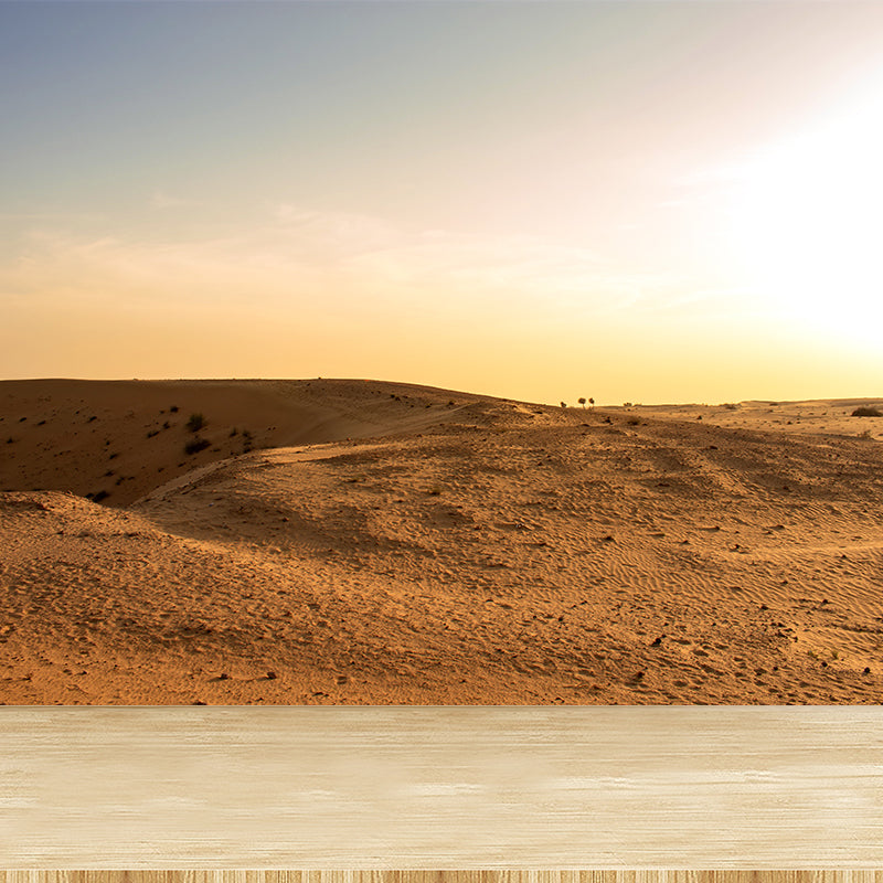 Contemporary Style Desert Mural Decal Water Resistant, Made to Measure