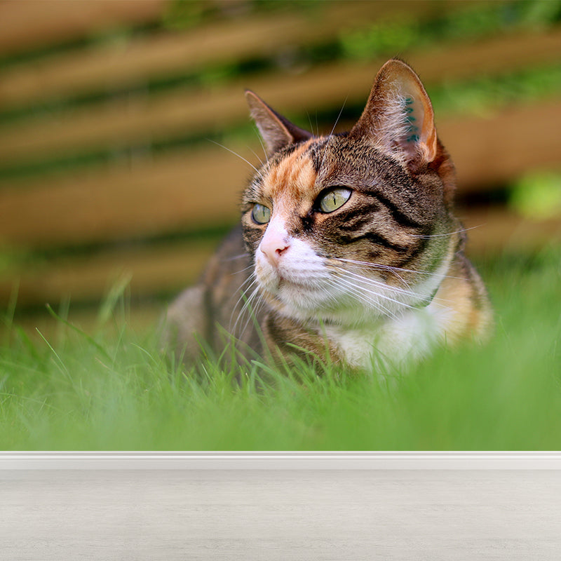 Full Size Cat Wall Covering for Sitting Room Water Resistant Wall Mural Decal