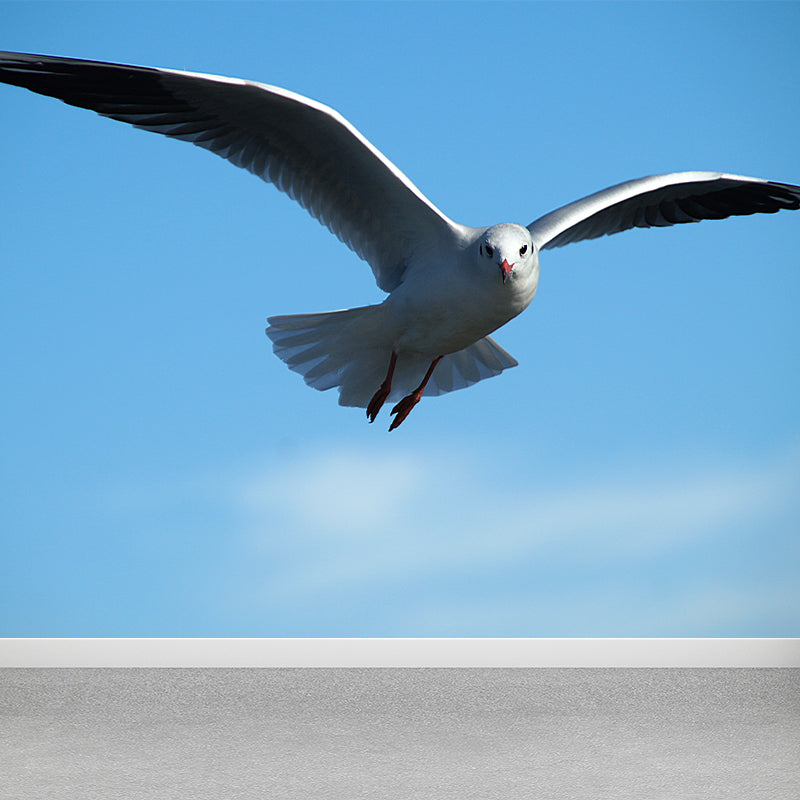 Seagull Wall Paper Murals for Home Blue and White, Custom Size Available