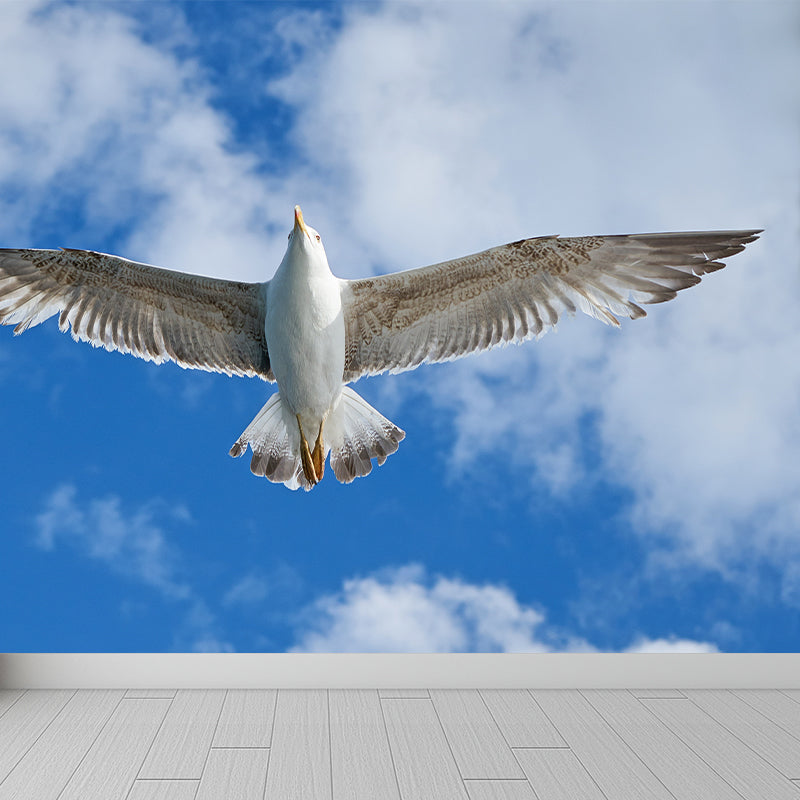 Seagull Wall Paper Murals for Home Blue and White, Custom Size Available