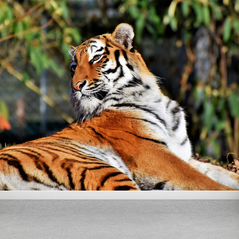 Cool Tiger Wall Paper Murals Waterproof Sitting Room Wall Decor, Custom Size Available