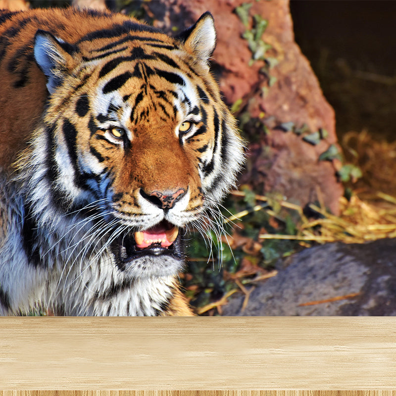 Cool Tiger Wall Paper Murals Waterproof Sitting Room Wall Decor, Custom Size Available