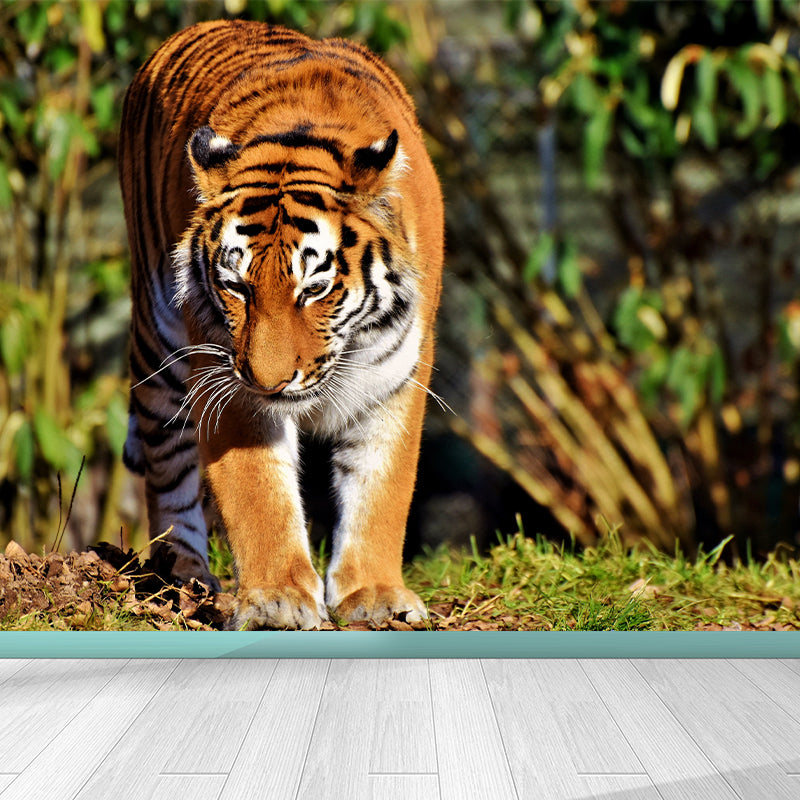 Cool Tiger Wall Paper Murals Waterproof Sitting Room Wall Decor, Custom Size Available