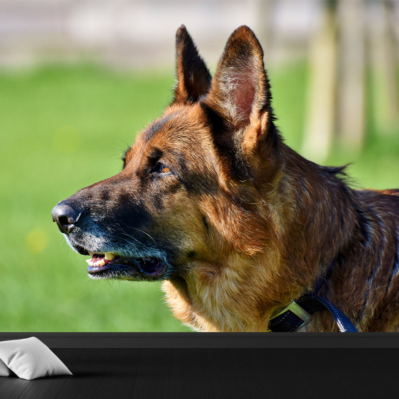 Lovely Dog Murals Wallpaper Water Resistant Wall Decor for Sitting Room