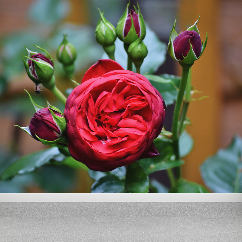 Elegant Rose Mural Wallpaper Custom-Made Wall Covering for Sleepiing Room