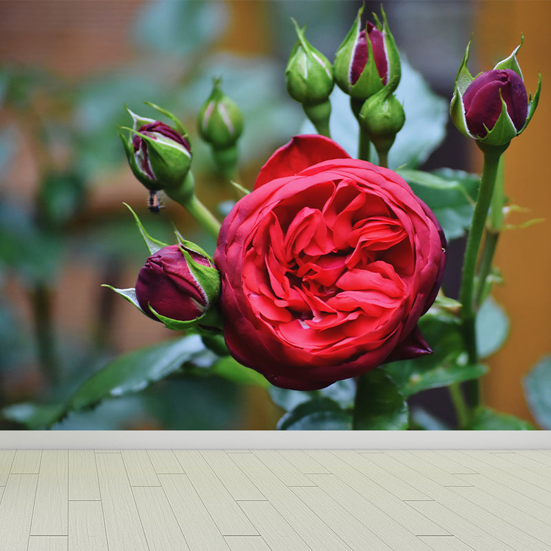 Elegant Rose Mural Wallpaper Custom-Made Wall Covering for Sleepiing Room