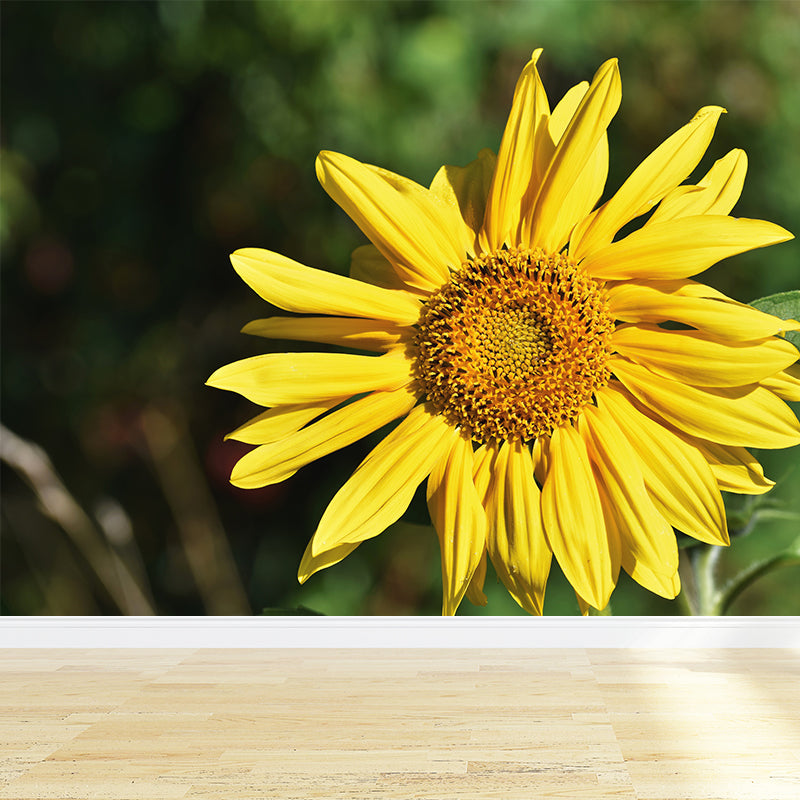 Beautiful Sunflower Mural Wallpaper Custom-Made Wall Covering for Girl Room