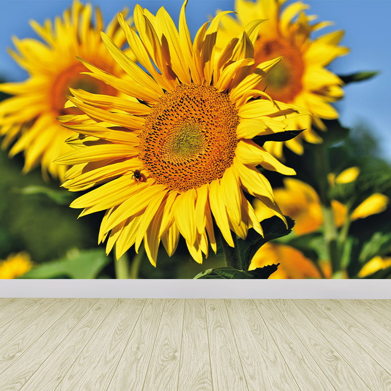 Yellow Sunflower Scenery Mural Wallpaper for Meeting Room Decoration, Washable