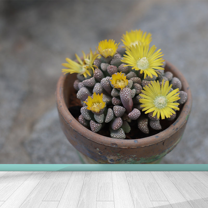 Green Plant Mural Wallpaper for Study Room Bedroom Home Decor, Personalized Size Available