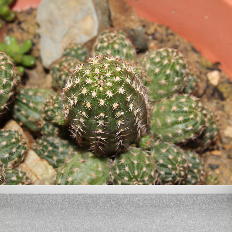 Tropical Green Plant Wall Mural for Bar Decoration Waterproof, Customized Size